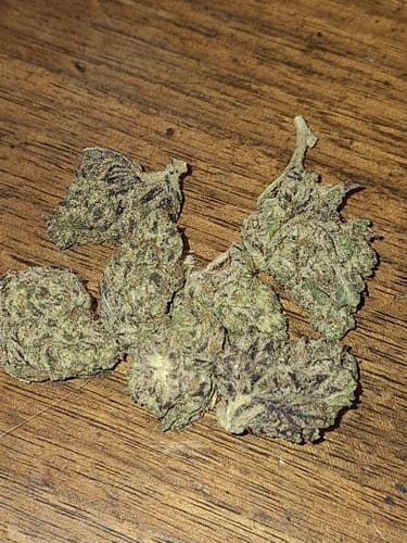Customer photo review of Purple Dream