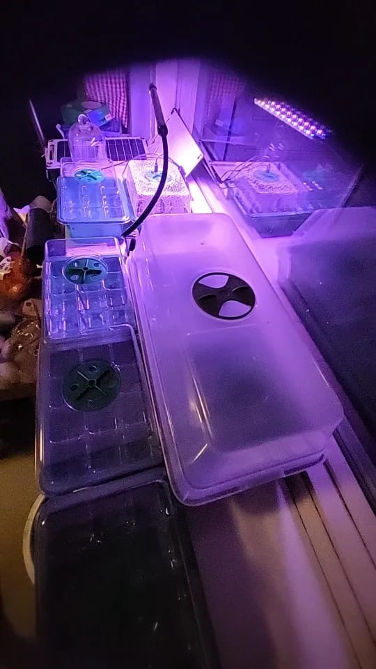 Customer photo review of GardenMate™ - Seed Starter Kit
