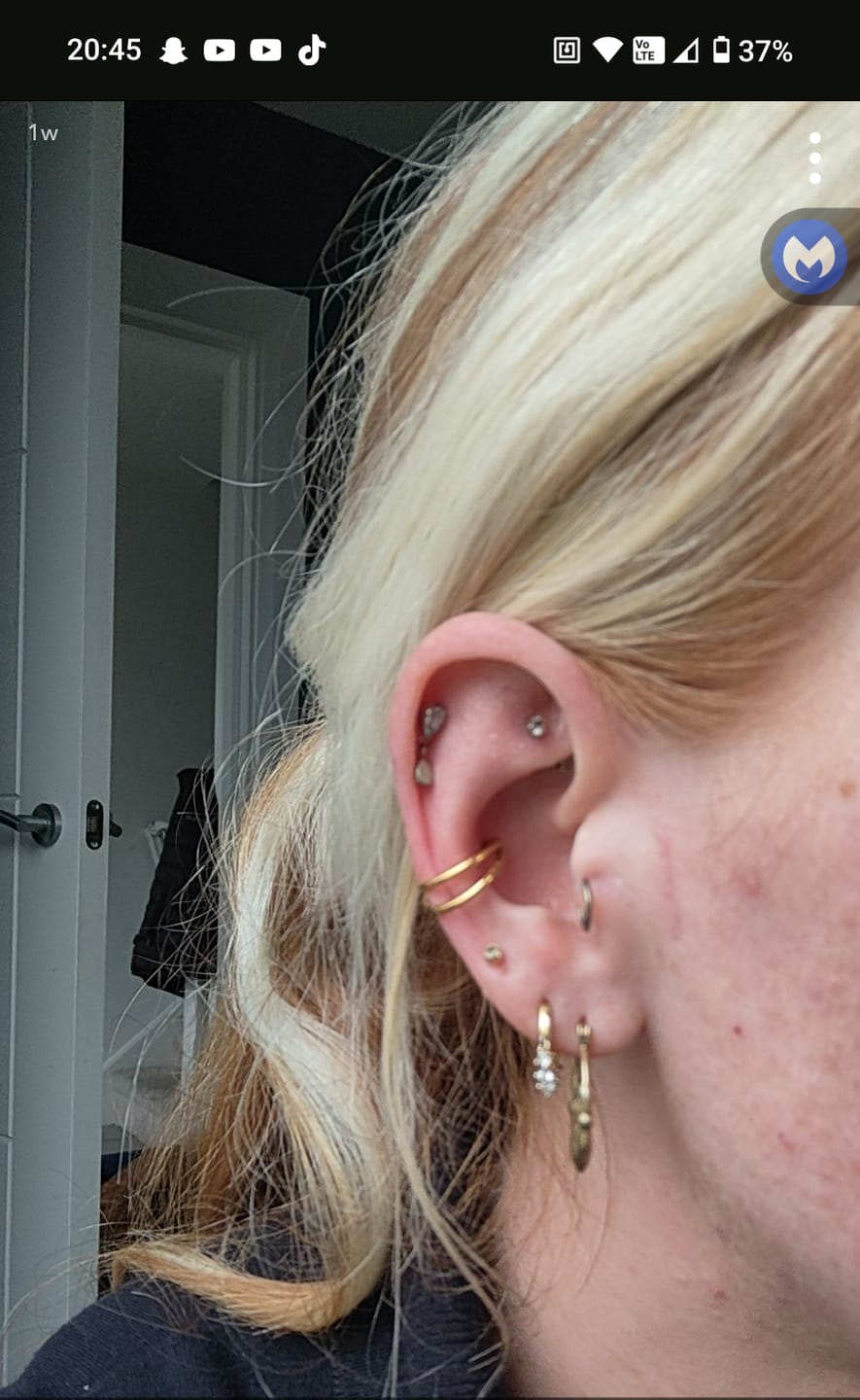 Customer photo review of Cartilage Hoop (16g)