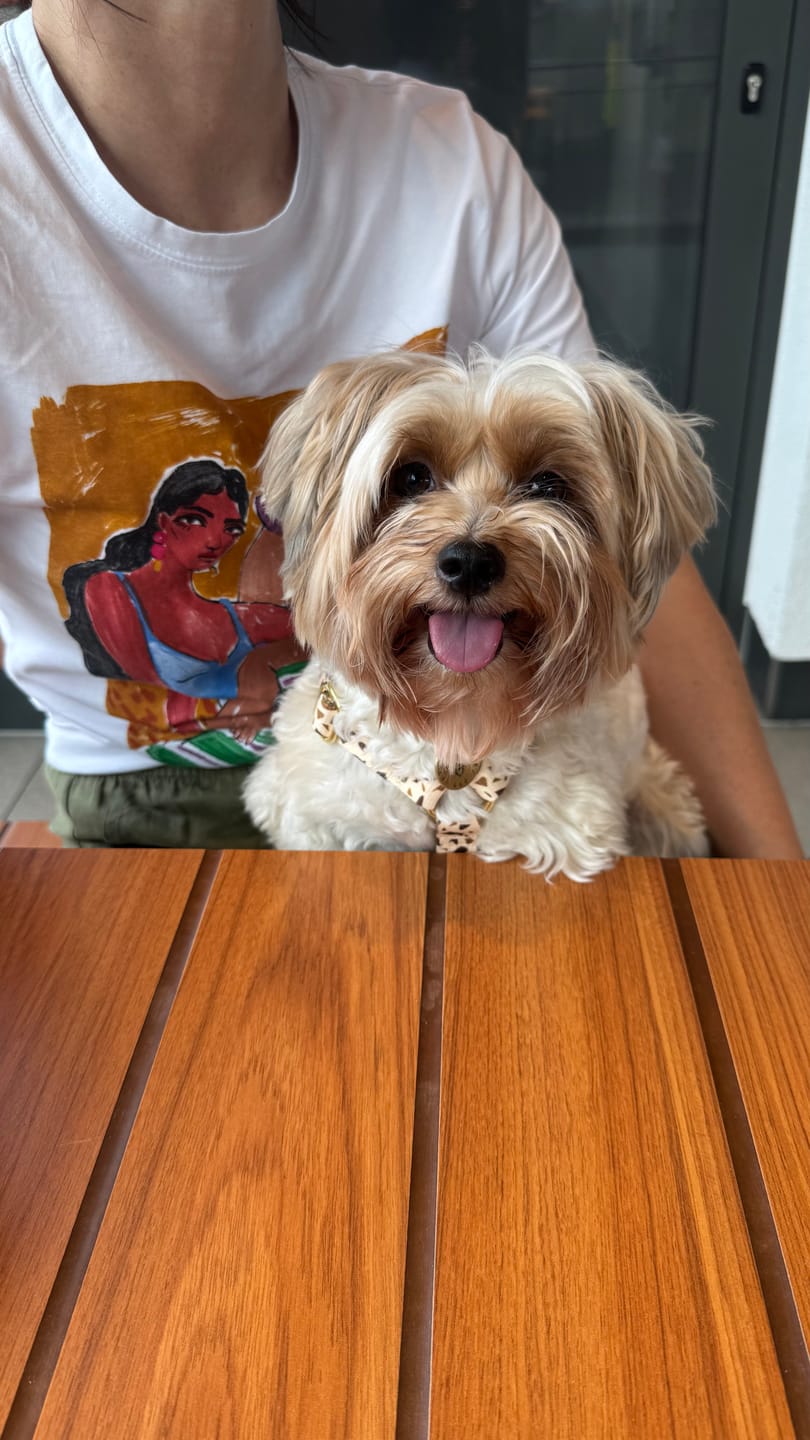 Customer photo review of Szelki guard "Beige Terrazzo" - złote okucia