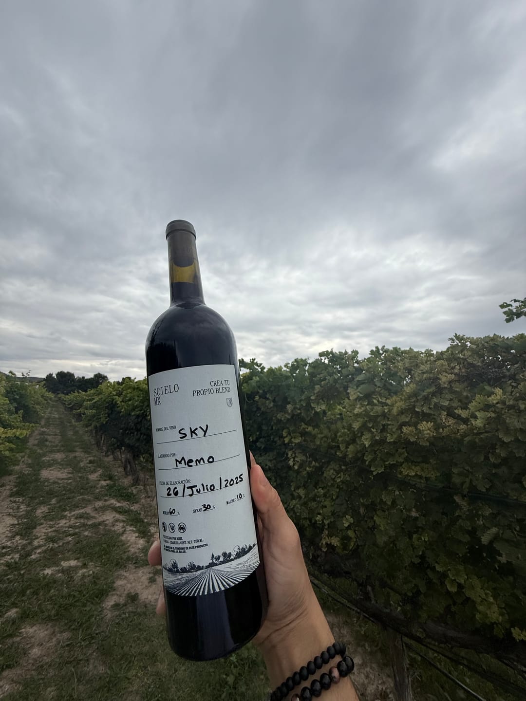Customer photo review of Crea Tu Vino