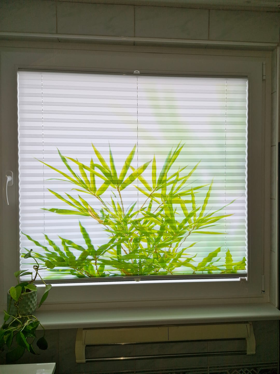 Customer photo review of Plissee Motiv "Bambusblaetter von Oben"