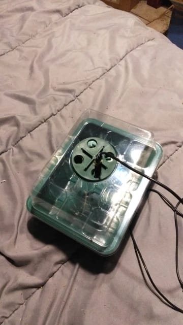 Customer photo review of GardenMate™ - Seed Starter Kit