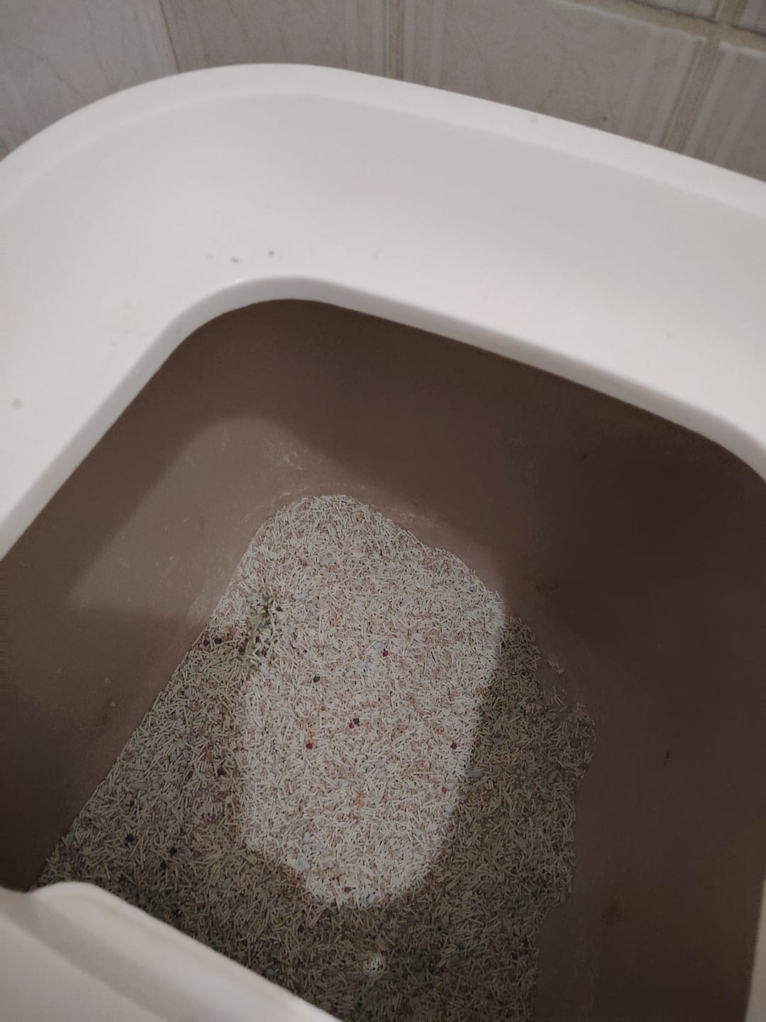 Customer photo review of [PACK] Litière naturelle et écologique Mousse Minou