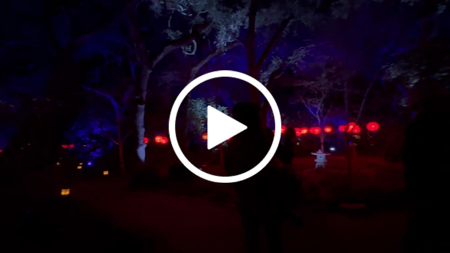 Customer video review of 14" Red Shimmering Nylon Lantern, Even Ribbing, Durable, Hanging