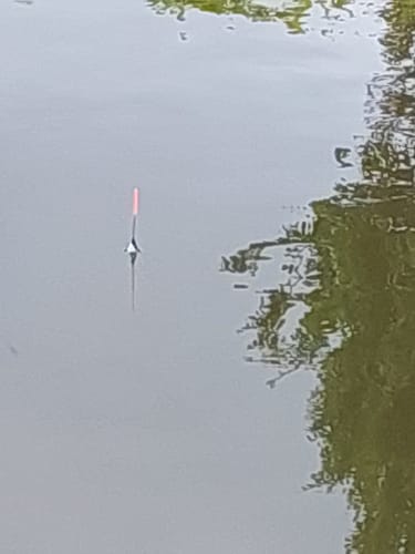 Customer photo review of SERIE 20 - (10 Stuks of €0,75/stuk) 🎁 Dobber Deal