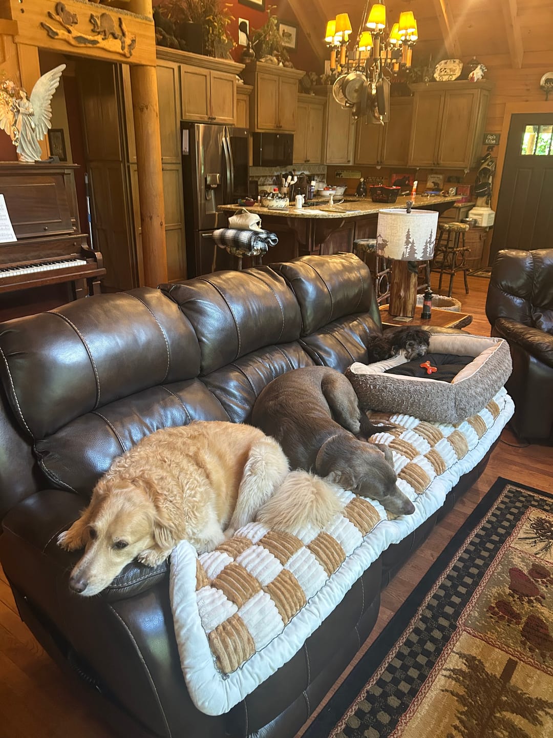 Customer photo review of NEW 2-in-1 Furniture Protector & Dog Bed Couch Cover with Thick Orthopedic Padding, Non-Slip Grip, Scratch-Resistant Surface & Machine-Washable Fabric