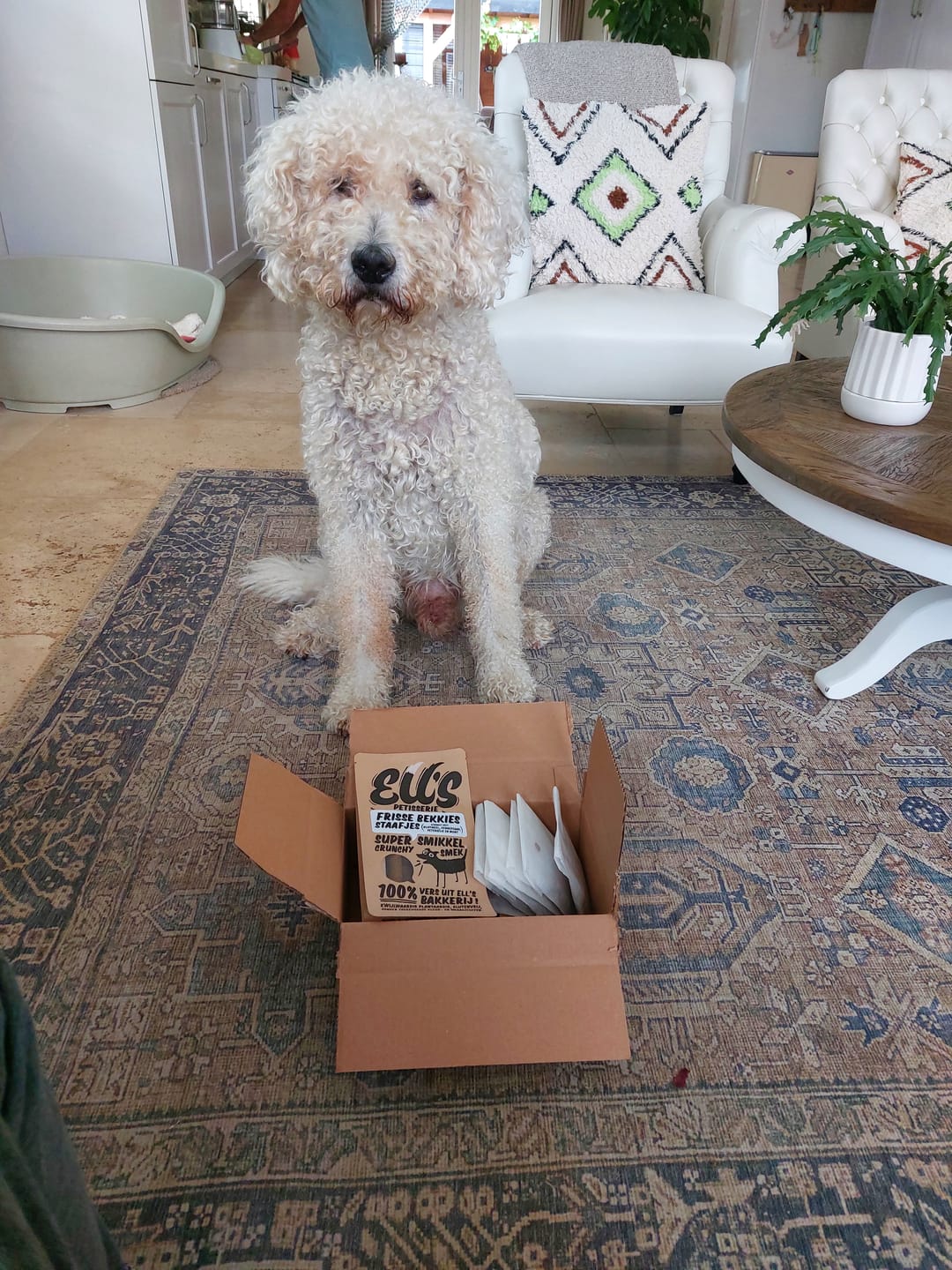 Customer photo review of Frisse bekkies kauwstaafjes | Kauwstaaf