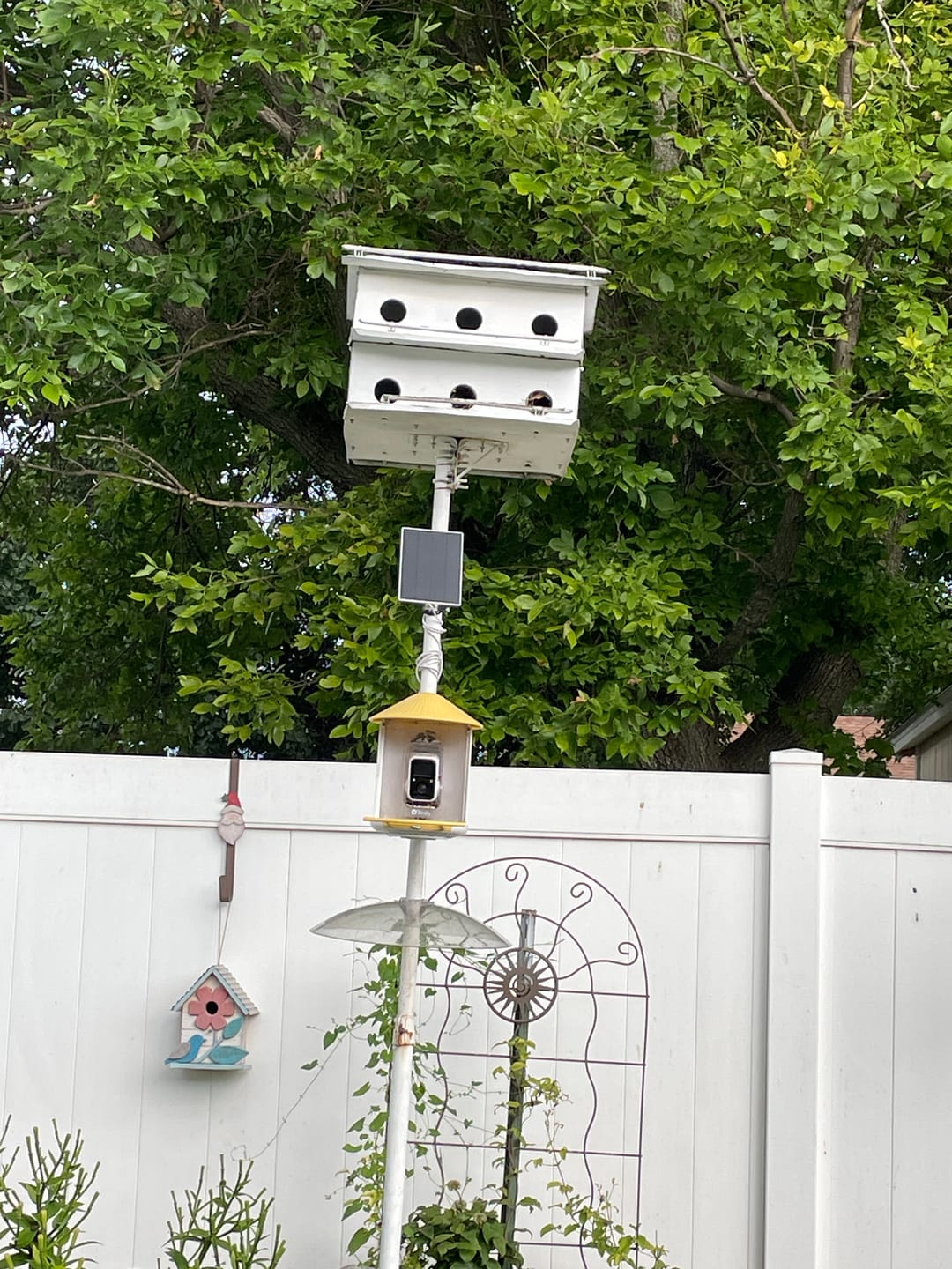 Customer photo review of Birdfy Solar Panel (Type C) - Bird Feeder Camera Solar Panel