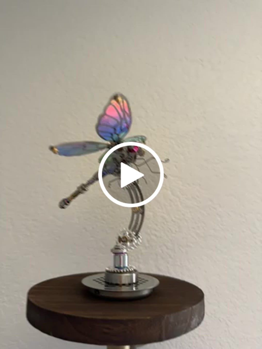 Customer video review of Dragonfly