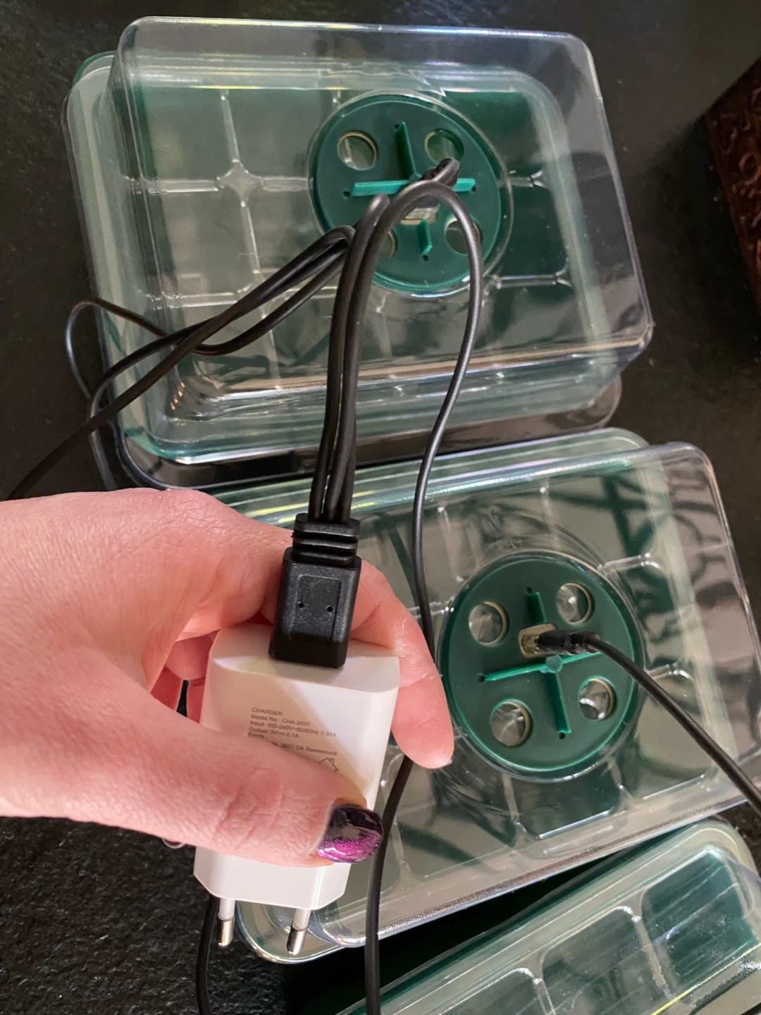 Customer photo review of GardenMate™ - Seed Starter Kit