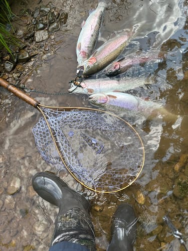 Customer photo review of Downstream