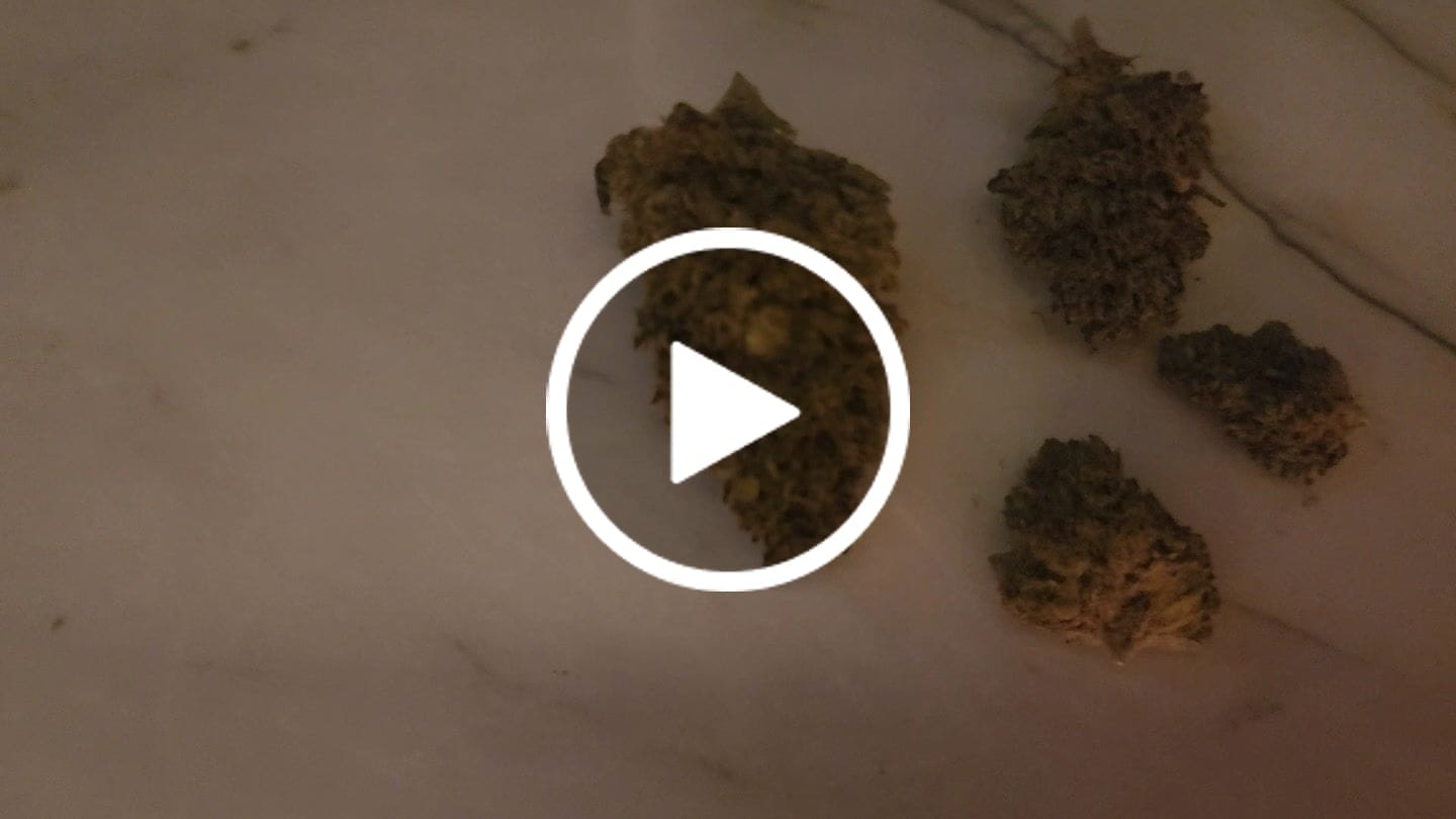 Customer video review of Jealousy - THCa Flower