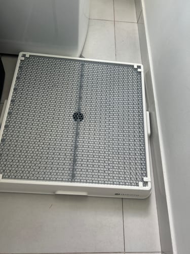 Customer photo review of Weasy Cão