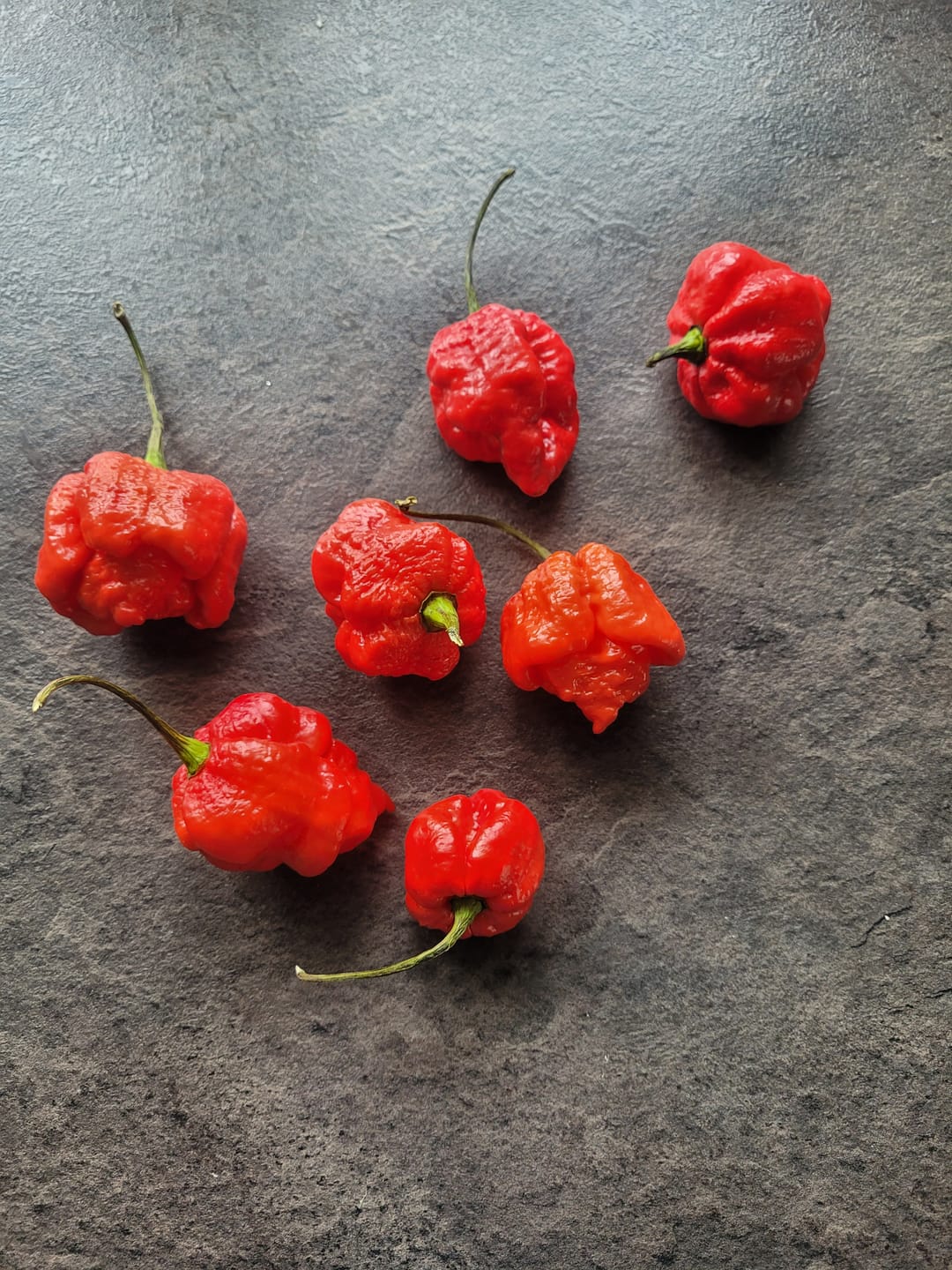Customer photo review of Frische Carolina Reaper, 100g