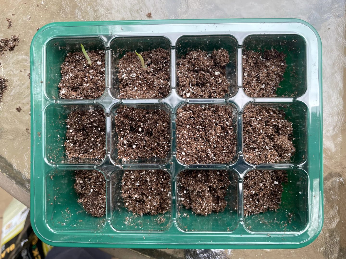 Customer photo review of GardenMate™ - Seed Starter Kit