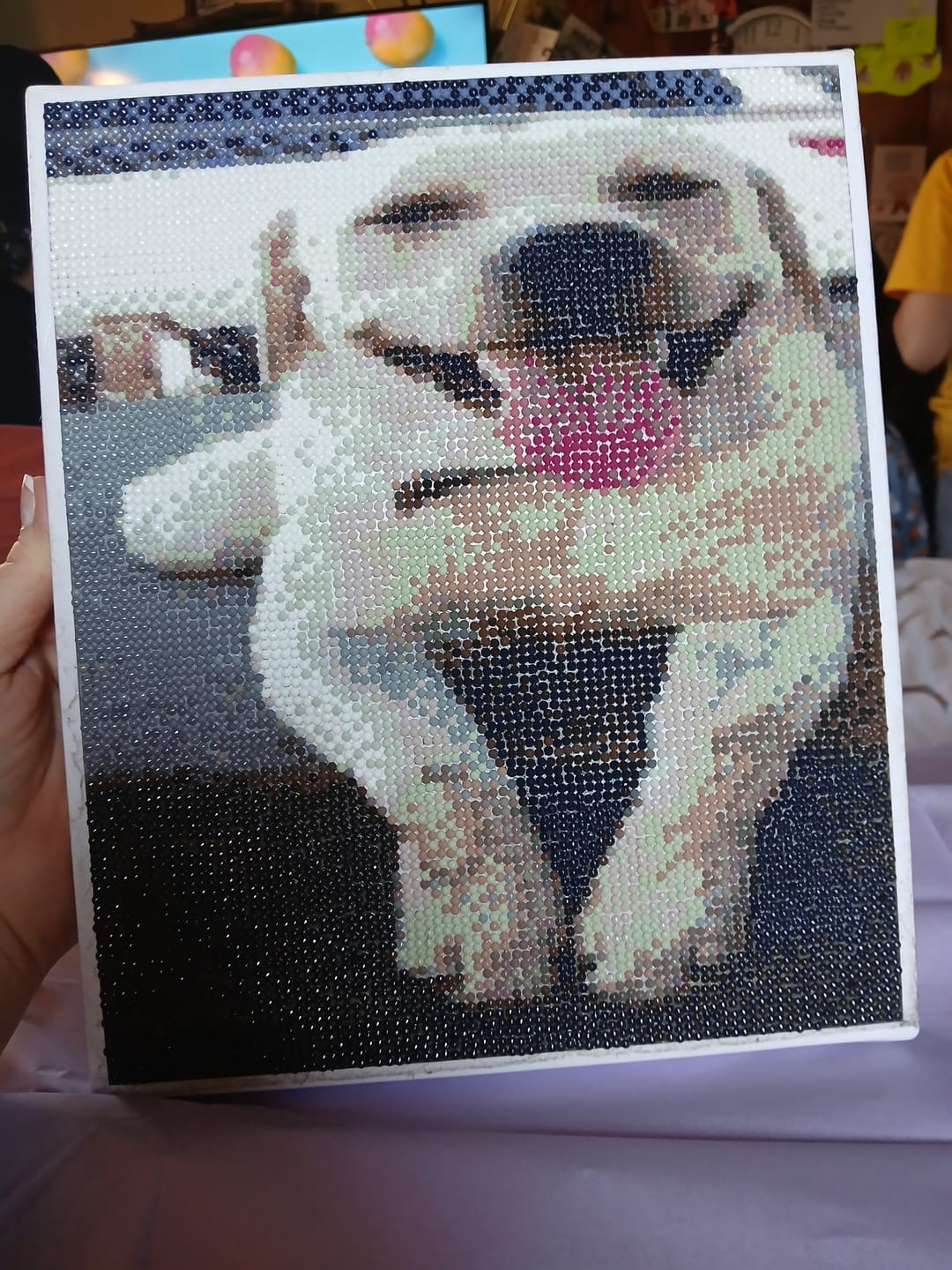 Customer photo review of Custom Diamond Painting From Your Photo