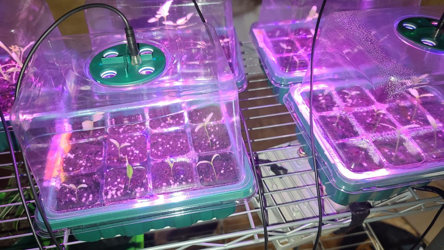 Customer photo review of GardenMate™ - Seed Starter Kit