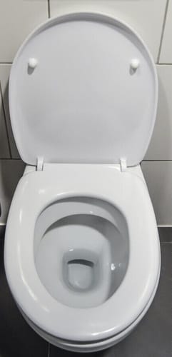 Kundenbewertung mit Foto zu Swiffy™ - Toilettenbürste