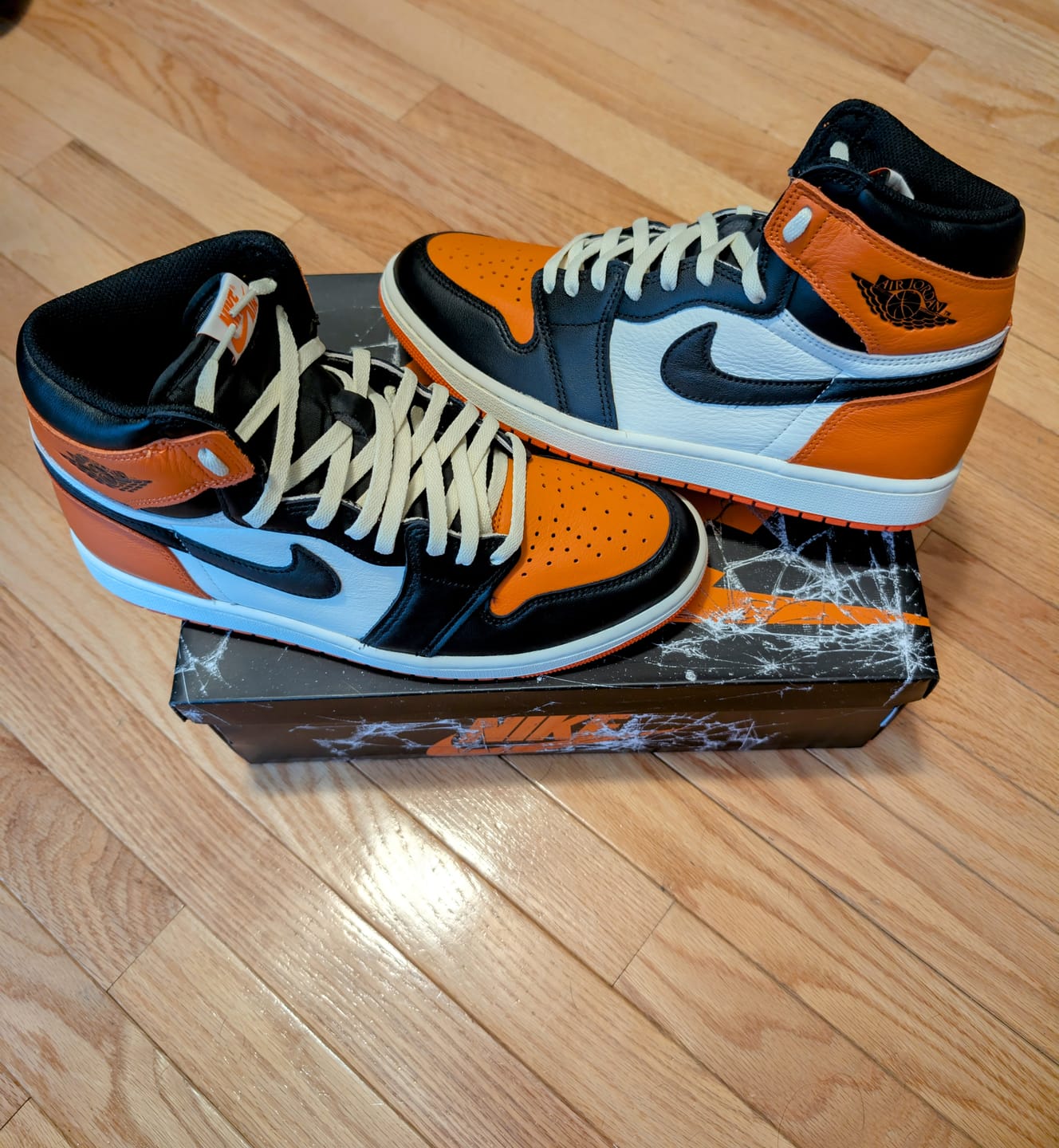 Customer photo review of Jordan 1 And Dunk Replacement Shoe Laces