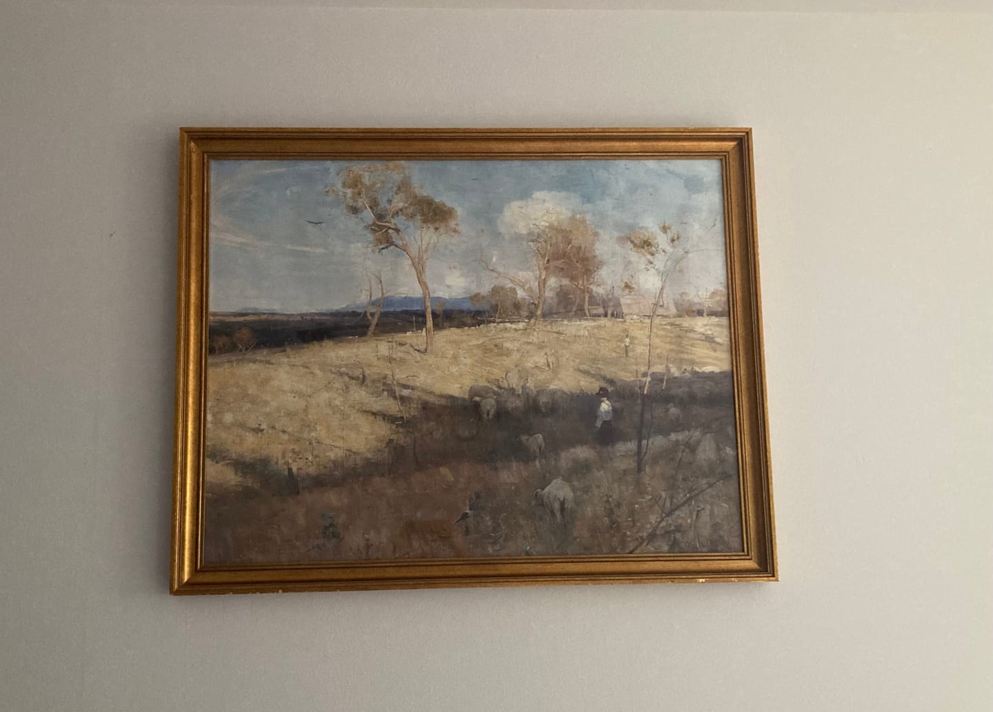 Customer photo review of Golden Summer | Paper