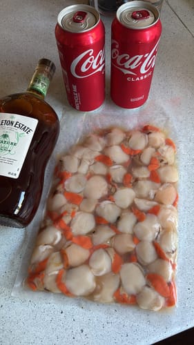 Customer photo review of Tasmanian Scallops Pack