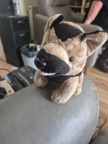 Customer photo review of Woof Woof the Dog
