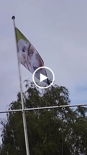 Customer video review of Fahne inkl. Druck