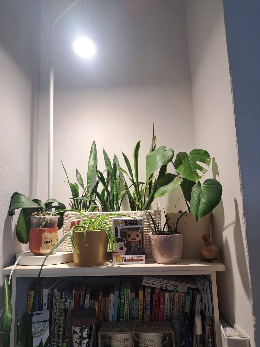 Customer photo review of Pianta Adjustable Floor Lamp