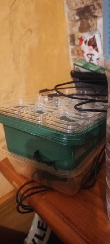 Customer photo review of GardenMate™ - Seed Starter Kit