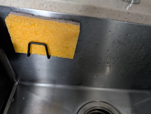Customer photo review of Plant Derived Sponges