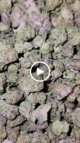 Customer video review of Gorilla Glue Greenhouse THCA