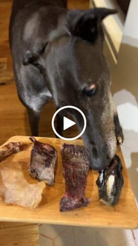 Customer video review of Mega Mixed Lucky Dip