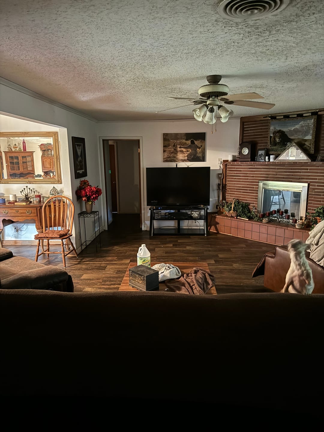 Customer photo review of Lamb Runs to Jesus Wall Art Canvas