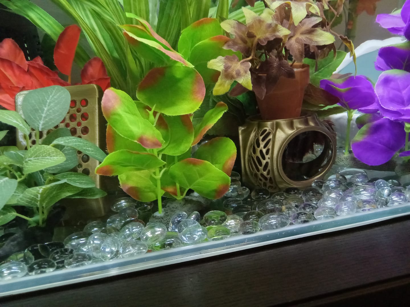 Customer photo review of House Hideout Plant Holder - Small Fish Hut Aquarium Hiding Cave Decor