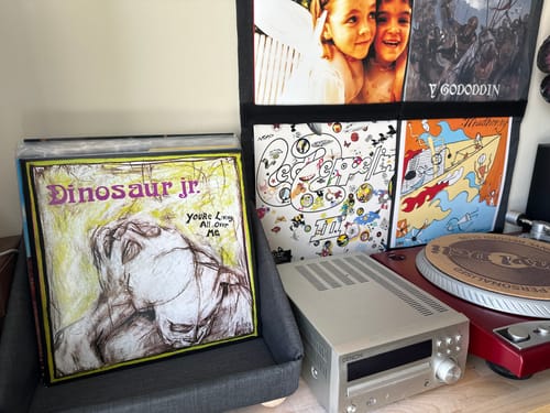 Customer photo review of Record Roots Tabletop Storage System