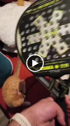 Customer video review of Osaka Pro Tour LTD Control