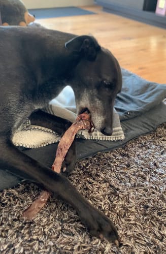 Customer photo review of Beef Aorta Tubes