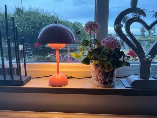 Customer photo review of Bordslampa - Svamplampa Flowerbud - Batteridriven 5000 mAH
