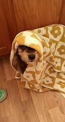Customer photo review of Floral Checkered Towel Collection