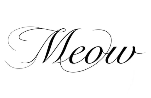 Customer photo review of Seamless Sexy Thong Women Underwear Briefs Panties Zebra Flower Low Rise Luxury Metal Buckle G-String Bikini Girls Female Panty