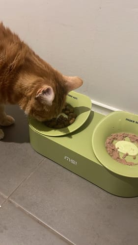 Customer photo review of Makesure ZooZoo Pet Feeding Plate