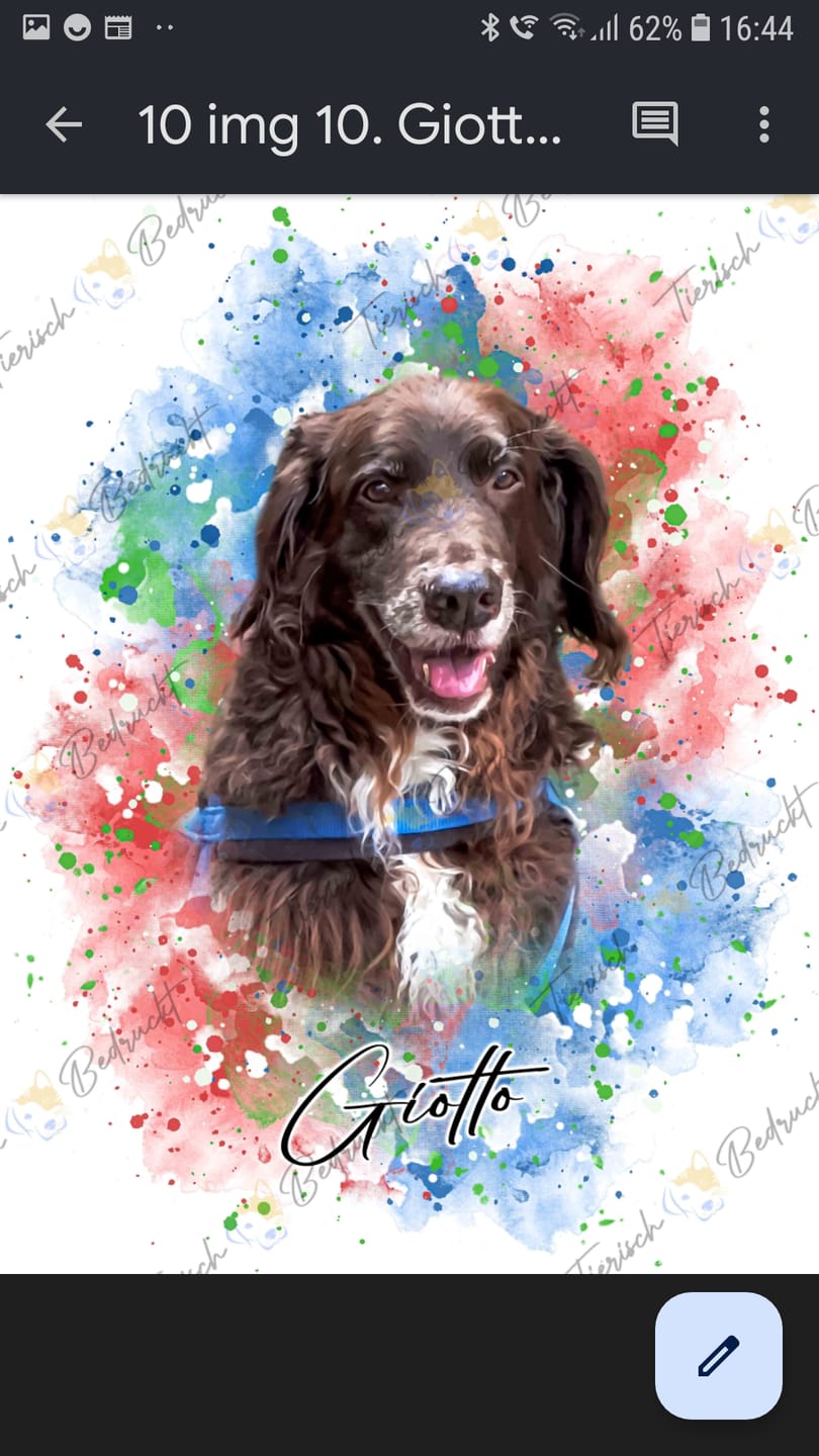 Customer photo review of Tierisches Wasserfarben Hunde Portrait