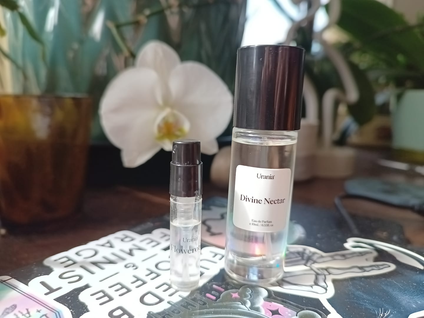 Customer photo review of Divine Nectar Eau de Parfum