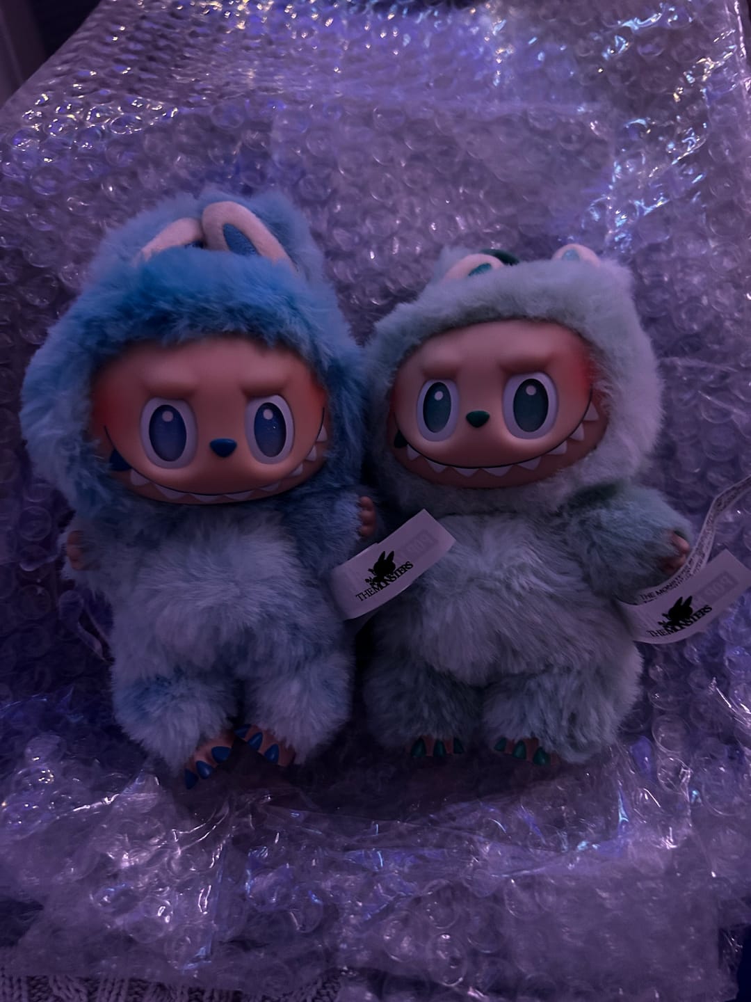 Customer photo review of Pop Mart Labubu The Monsters Big into Energy Series Vinyl Plush Pendant Sealed Case (Single Blind Box)