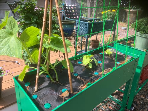 Customer photo review of Design Your Own Garden