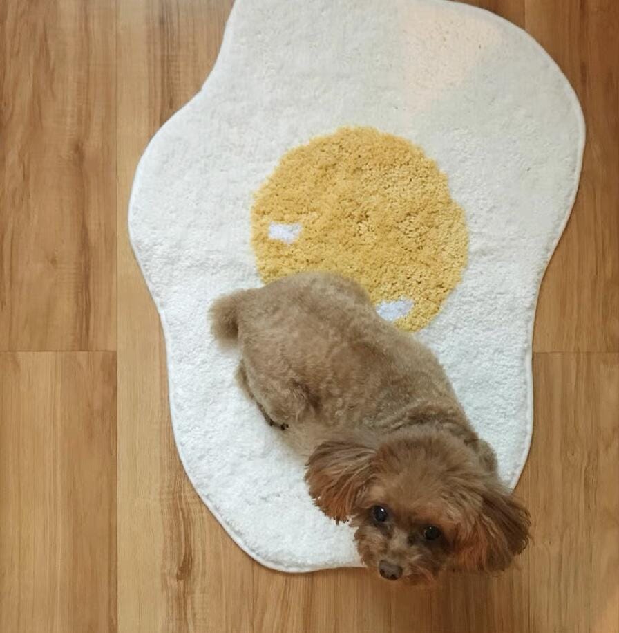 Customer photo review of Egg Rug Collection