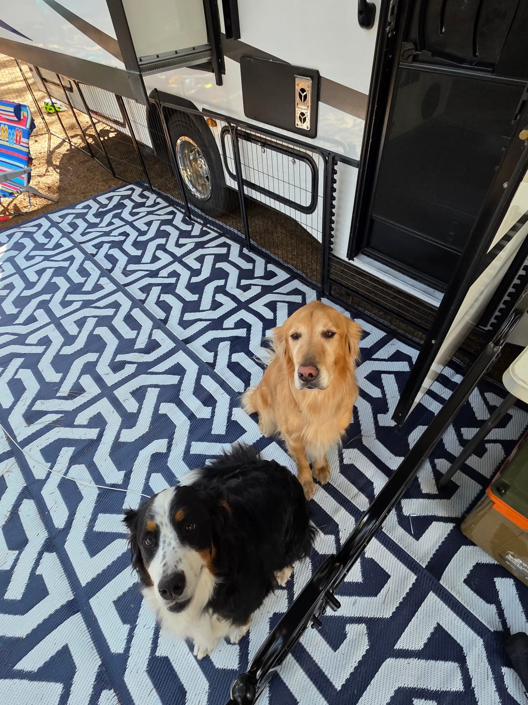 Customer photo review of RV Step Grid - Dog Barrier for RV Stairs