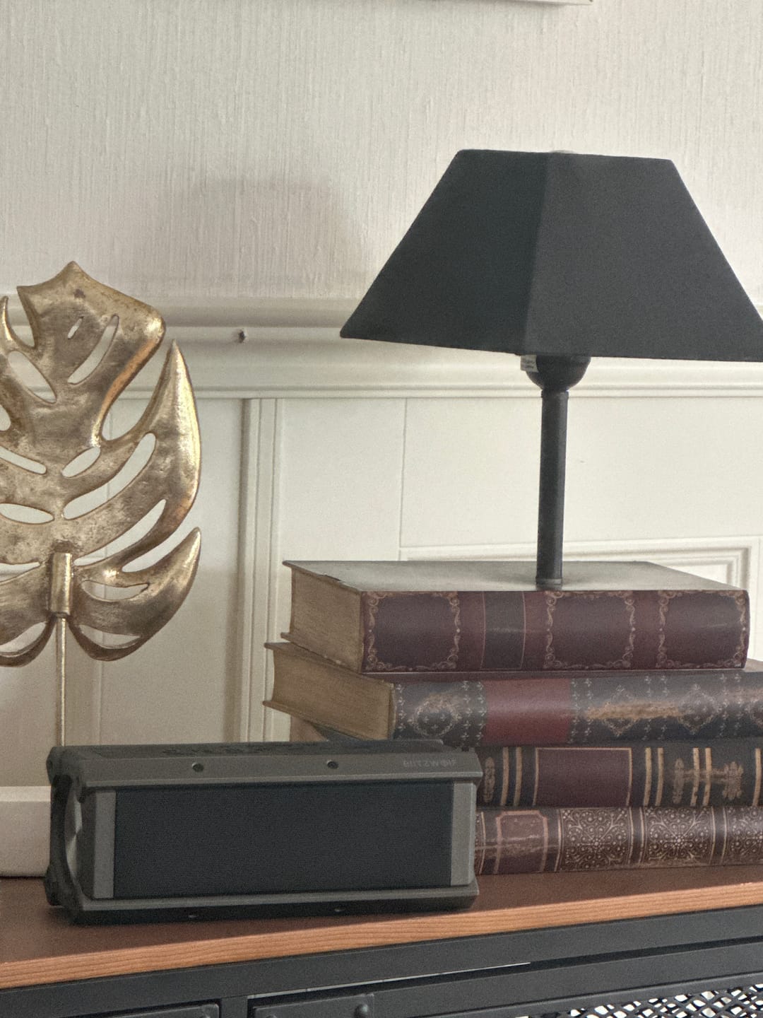 Customer photo review of BlitzWolf® BW-WA3 100W Bluetooth Speaker Portable Speakers Quad Drivers Dual Diaphragm Deep Bass RGB Light TWS 5000mAh Outdoors Wireless Speaker