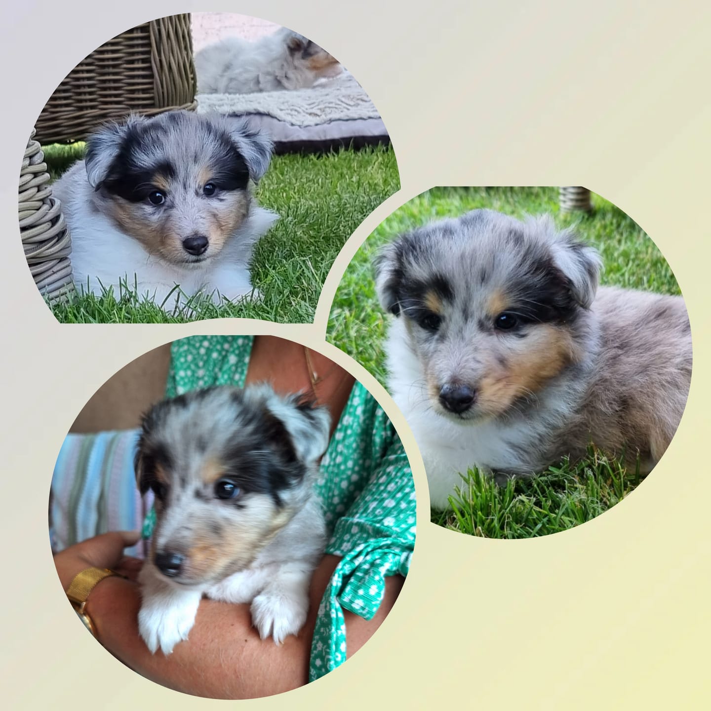 Customer photo review of Fluffy Orthopedische Autostoel (2-in-1)